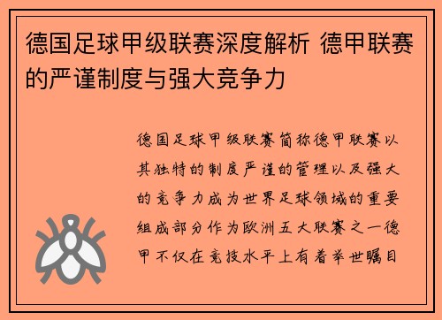 德国足球甲级联赛深度解析 德甲联赛的严谨制度与强大竞争力